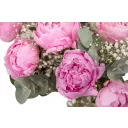 Kytice růžových pivoněk